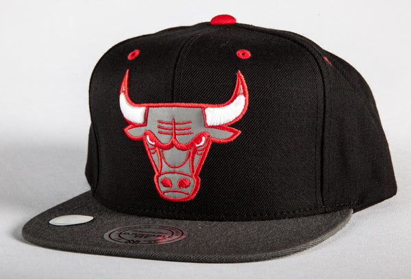 Chicago Bulls Reflective 2 Tone